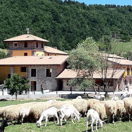 Agriturismo Ca Bella Villa San Sebastiano Curone Exteriör bild