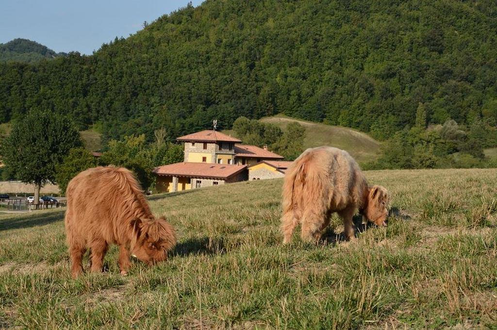 Agriturismo Ca Bella Villa San Sebastiano Curone Exteriör bild